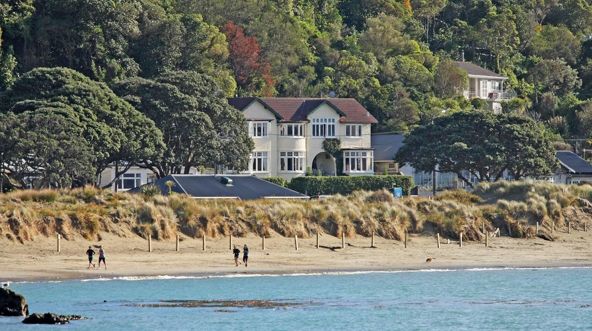 Beachfront Wellington Bed And Breakfast Zewnętrze zdjęcie