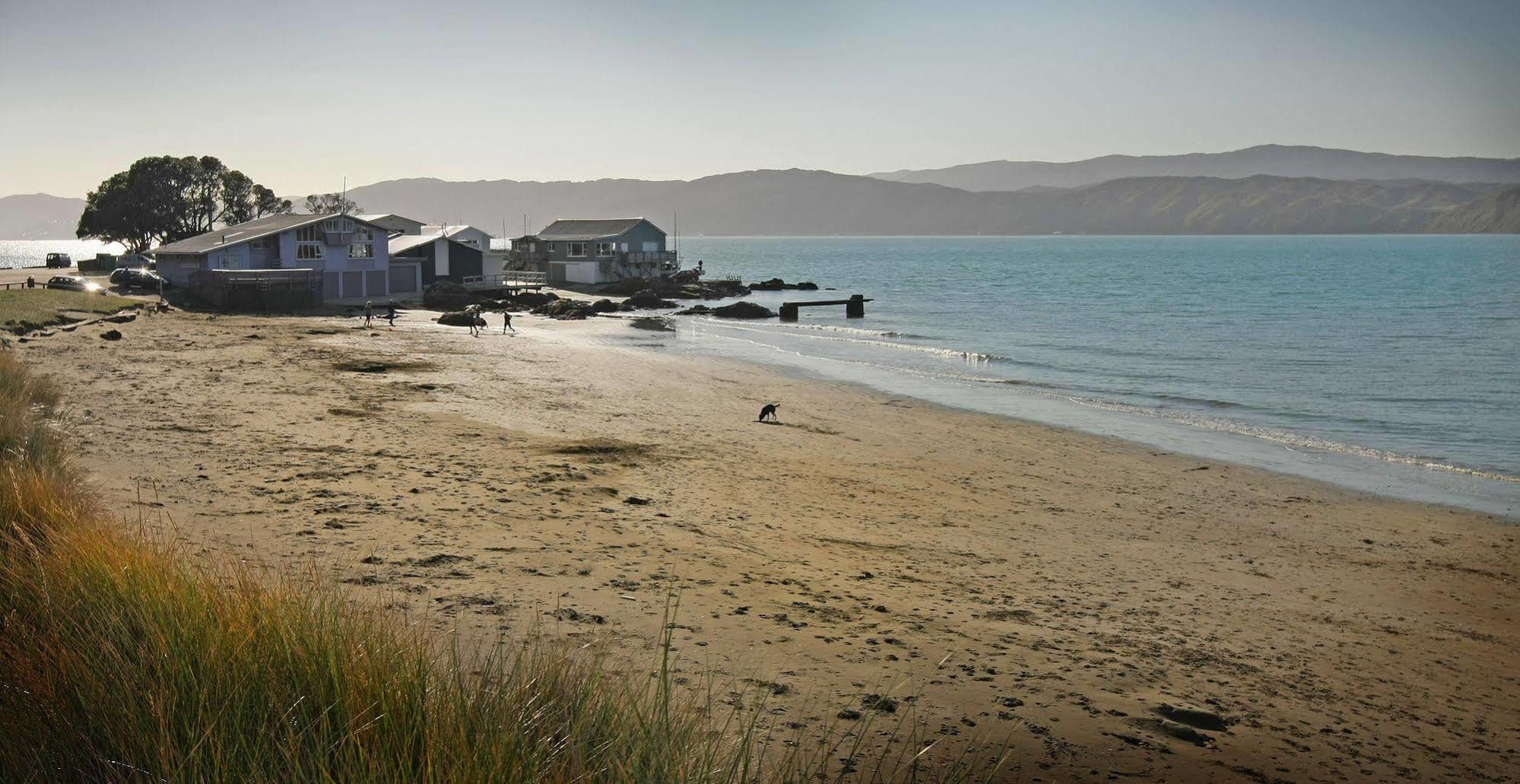 Beachfront Wellington Bed And Breakfast Zewnętrze zdjęcie